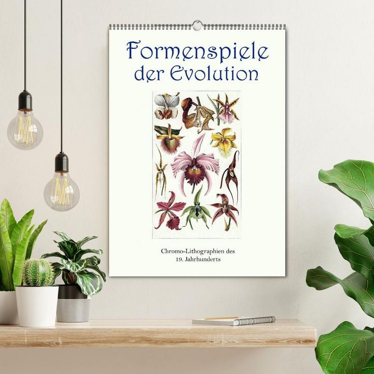 Produktbild: Formenspiele der Evolution. Chromolithographien des 19. Jahrhunderts (Wandkalender 2026 DIN A2 hoch), CALVENDO Monatskalender