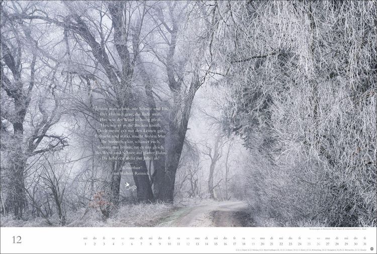 Produktbild: Der deutsche Wald - Ein literarischer Spaziergang Kalender 2027 - Ein literarischer Spaziergang