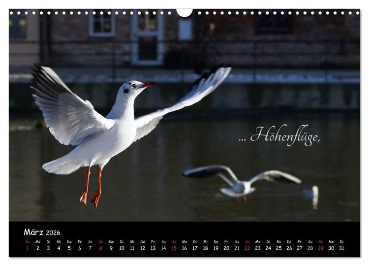 Produktbild: Gut gelaunt durch's Rentenjahr (Wandkalender 2026 DIN A3 quer), CALVENDO Monatskalender