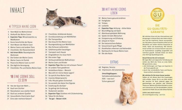 Produktbild: Maine Coon