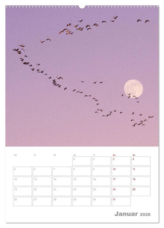 Produktbild: VOLLMOND-Planer - Im Licht der Nacht (Wandkalender 2026 DIN A2 hoch), CALVENDO Monatskalender