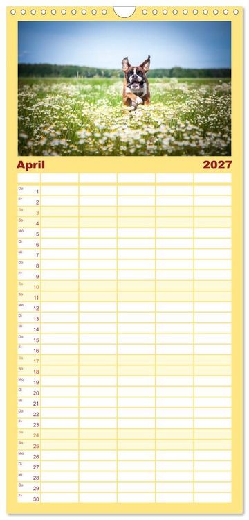 Produktbild: Familienplaner 2027 - Deutscher Boxer mit 5 Spalten (Wandkalender, 21 x 45 cm) CALVENDO