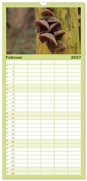 Produktbild: Familienplaner 2027 - Pilzkalender mit 5 Spalten (Wandkalender, 21 x 45 cm) CALVENDO