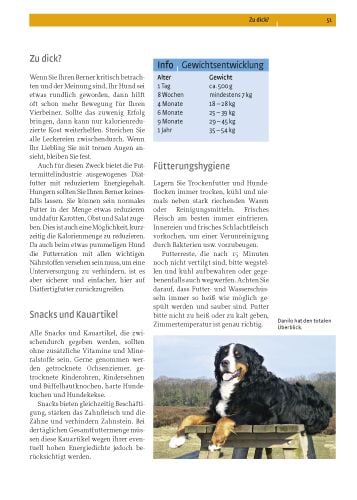 Produktbild: Berner Sennenhund