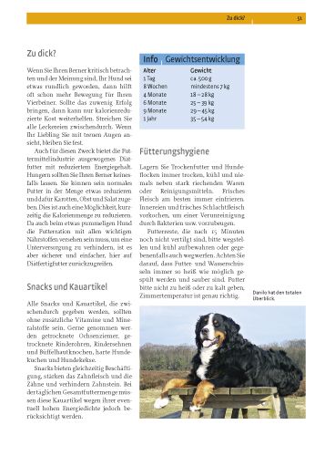 Produktbild: Berner Sennenhund
