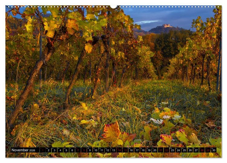 Produktbild: Augenschmaus Pfalz (hochwertiger Premium Wandkalender 2026 DIN A2 quer), Kunstdruck in Hochglanz