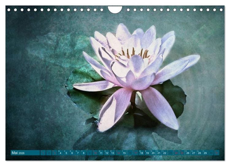 Produktbild: Momente der Stille (Wandkalender 2026 DIN A4 quer), CALVENDO Monatskalender