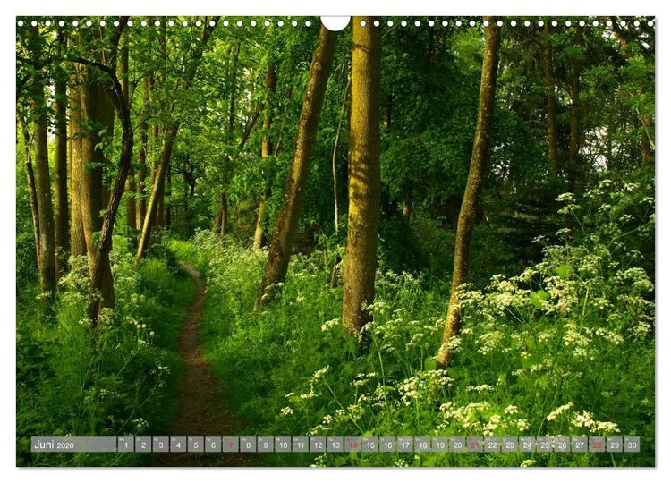 Produktbild: Bezauberndes Ampertal bei Moosburg (Wandkalender 2026 DIN A3 quer), CALVENDO Monatskalender