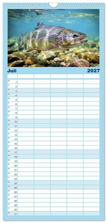 Produktbild: Familienplaner 2027 - Forellen im Fluss mit 5 Spalten (Wandkalender, 21 x 45 cm) CALVENDO