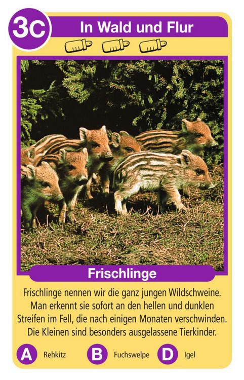 Produktbild: Tierquartett Tierkinder - Kartenspiel ab 4 Jahre