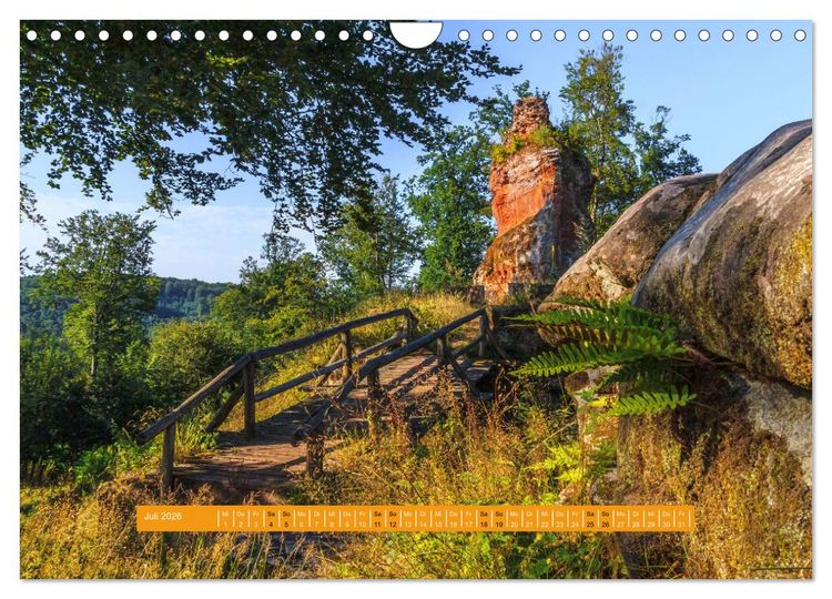 Produktbild: Magischer Pf&auml;lzer Wald (Wandkalender 2026 DIN A4 quer), CALVENDO Monatskalender