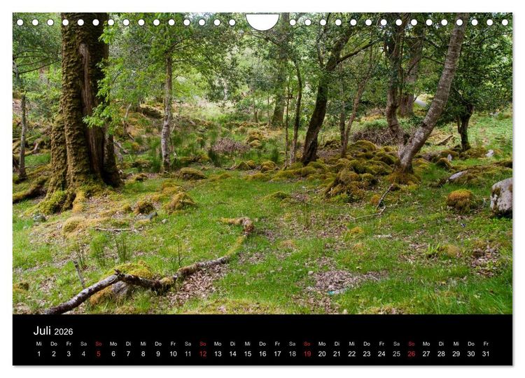 Produktbild: Unterwegs in Irland (Wandkalender 2026 DIN A4 quer), CALVENDO Monatskalender