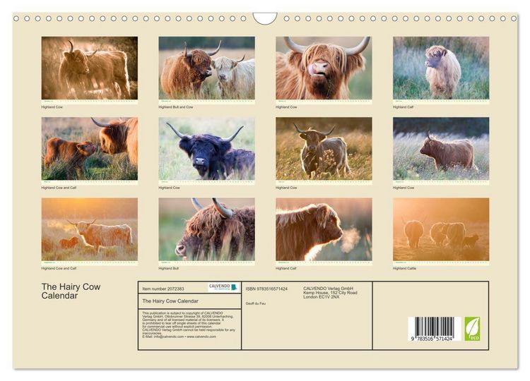 Produktbild: The Hairy Cow Calendar (Wall Calendar 2026 DIN A3 landscape), CALVENDO 12 Month Wall Calendar