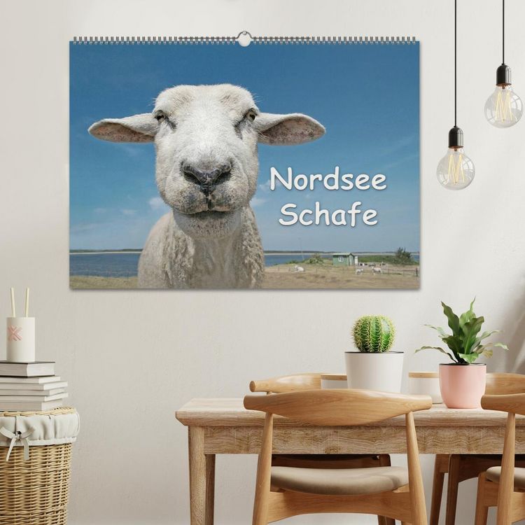 Produktbild: Nordsee Schafe (Wandkalender 2026 DIN A2 quer), CALVENDO Monatskalender