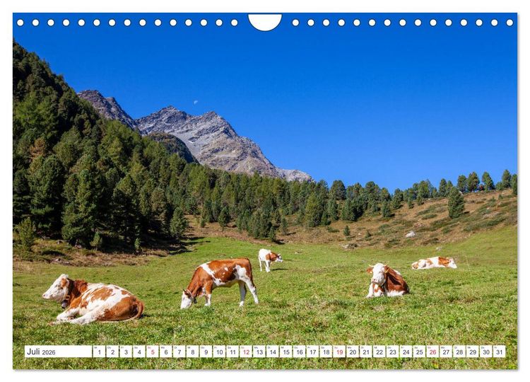 Produktbild: Jagdhausalm in Osttirol (Wandkalender 2026 DIN A4 quer), CALVENDO Monatskalender