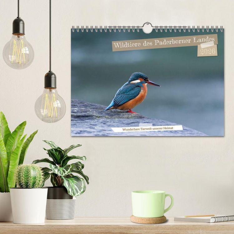 Produktbild: Wildtiere des Paderborner Landes (Wandkalender 2026 DIN A4 quer), CALVENDO Monatskalender