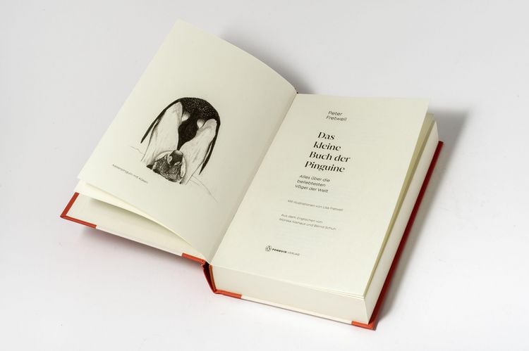 Produktbild: Das kleine Buch der Pinguine