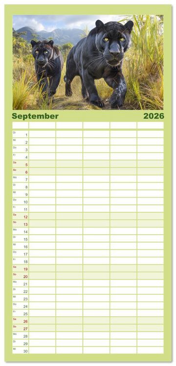 Produktbild: Familienplaner 2026 - Schwarze Panther. Geheimnisvolle Schatten der Wildnis mit 5 Spalten (Wandkalender, 21 x 45 cm) CALVENDO
