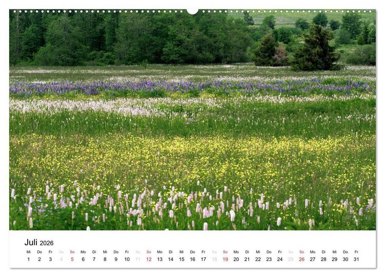 Produktbild: Naturerlebnis im Biosph&auml;renreservat Rh&ouml;n (Wandkalender 2026 DIN A2 quer), CALVENDO Monatskalender