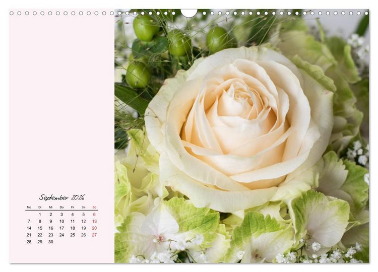 Produktbild: Rosen. Charmante und edle K&ouml;niginnen (Wandkalender 2026 DIN A3 quer), CALVENDO Monatskalender