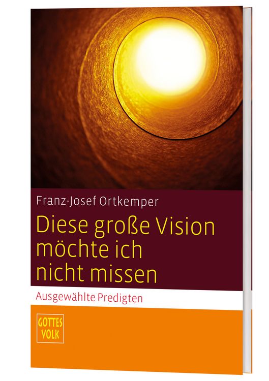 Produktbild: Diese gro&szlig;e Vision m&ouml;chte ich nicht missen