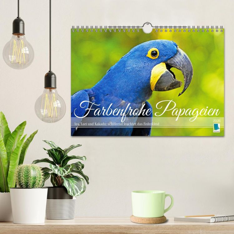 Produktbild: Farbenfrohe Papageien (Wandkalender 2026 DIN A4 quer), CALVENDO Monatskalender