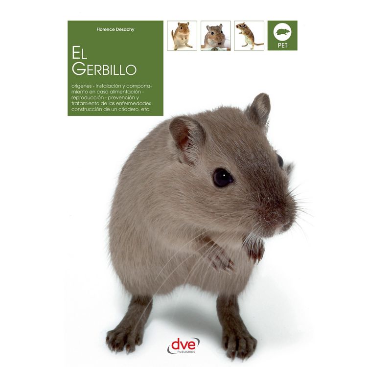 Produktbild: El gerbillo