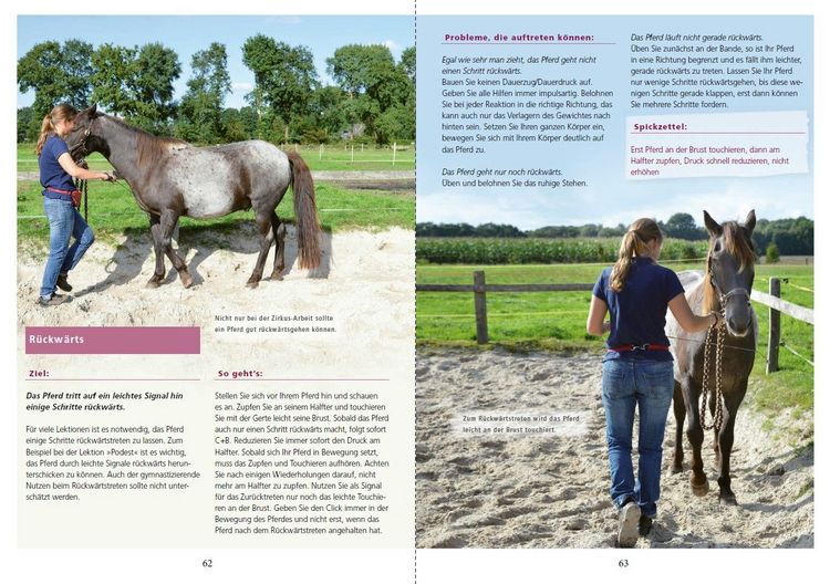 Produktbild: Zirkuslektionen mit Spa&szlig; und System