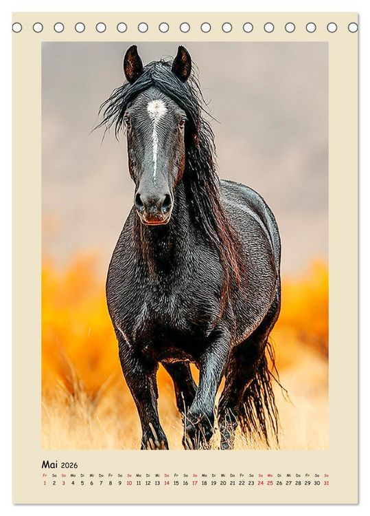 Produktbild: Amerikanische Mustangs. Symbole f&uuml;r Freiheit und Pioniergeis (Tischkalender 2026 DIN A5 hoch), CALVENDO Monatskalender