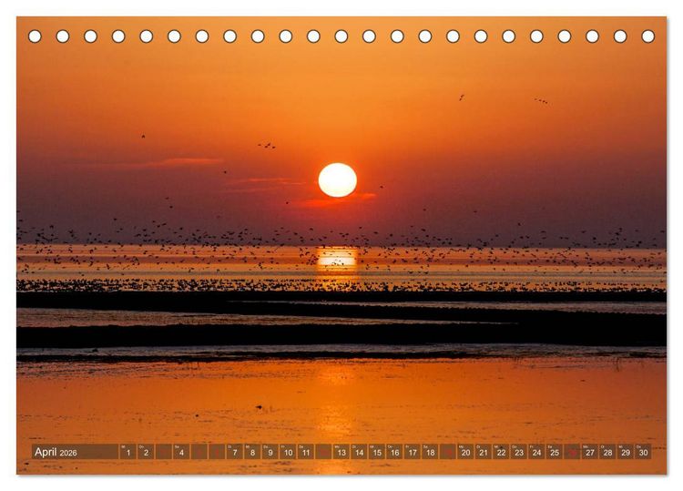 Produktbild: Farbspiele im Licht der Sonne (Tischkalender 2026 DIN A5 quer), CALVENDO Monatskalender