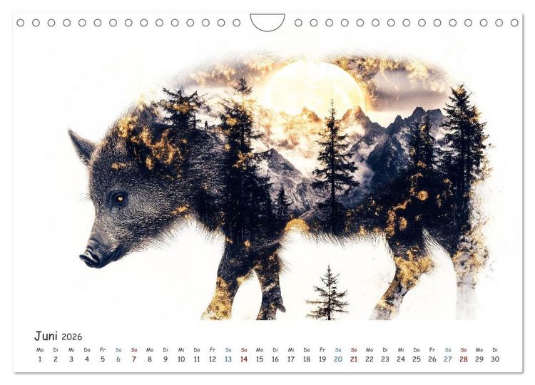 Produktbild: W&auml;chter des Zauberwaldes (Wandkalender 2026 DIN A4 quer), CALVENDO Monatskalender