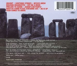 Produktbild: Rock In A Hard Place (1CD)