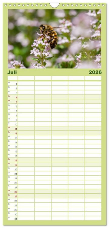 Produktbild: Familienplaner 2026 - Hummeln und Bienen mit 5 Spalten (Wandkalender, 21 x 45 cm) CALVENDO