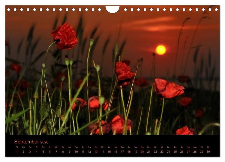 Produktbild: Sonnenuntergang (Wandkalender 2026 DIN A4 quer), CALVENDO Monatskalender