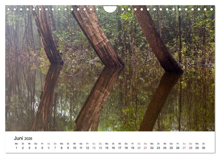 Produktbild: Mythos Amazonas - Naturparadies Brasiliens (Wandkalender 2026 DIN A4 quer), CALVENDO Monatskalender