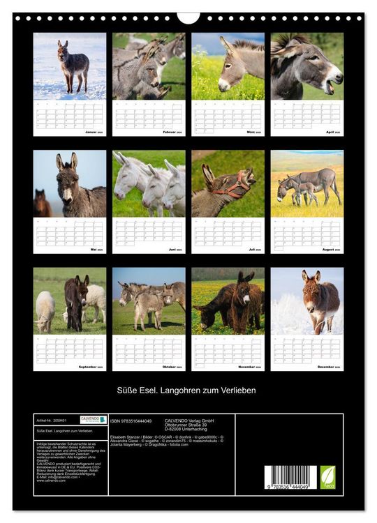 Produktbild: S&uuml;&szlig;e Esel. Langohren zum Verlieben (Wandkalender 2026 DIN A3 hoch), CALVENDO Monatskalender
