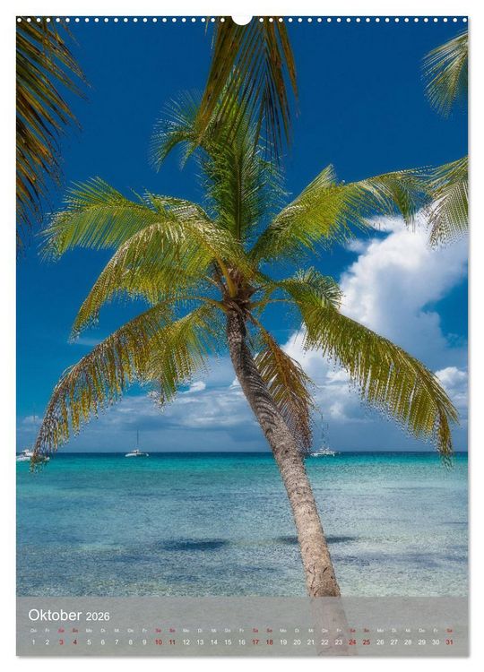 Produktbild: Karibischer Traum Isla Saona (hochwertiger Premium Wandkalender 2026 DIN A2 hoch), Kunstdruck in Hochglanz