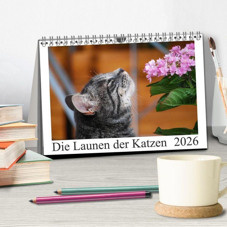 Produktbild: Die Launen der Katzen 2026 (Tischkalender 2026 DIN A5 quer), CALVENDO Monatskalender