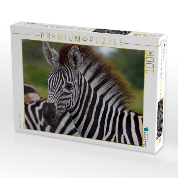 Produktbild: CALVENDO Puzzle Zebra-Nachwuchs, Afrika | 1000 Teile Lege-Gr&ouml;&szlig;e 64x48cm Foto-Puzzle f&uuml;r gl&uuml;ckliche Stunden