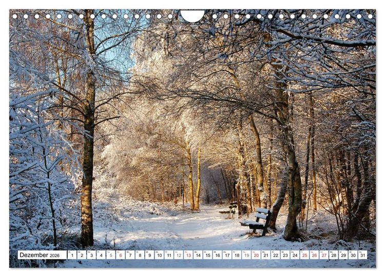 Produktbild: Wege gehen... (Wandkalender 2026 DIN A4 quer), CALVENDO Monatskalender
