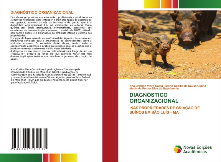Produktbild: Diagn&oacute;stico Organizacional