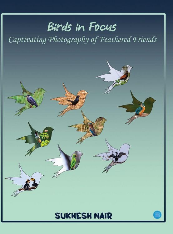 Produktbild: Birds in Focus Captivating Photography of Feathered Friends