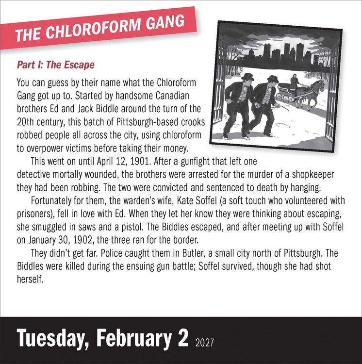 Produktbild: A Year of True Crime Page-A-Day&reg; Calendar 2027