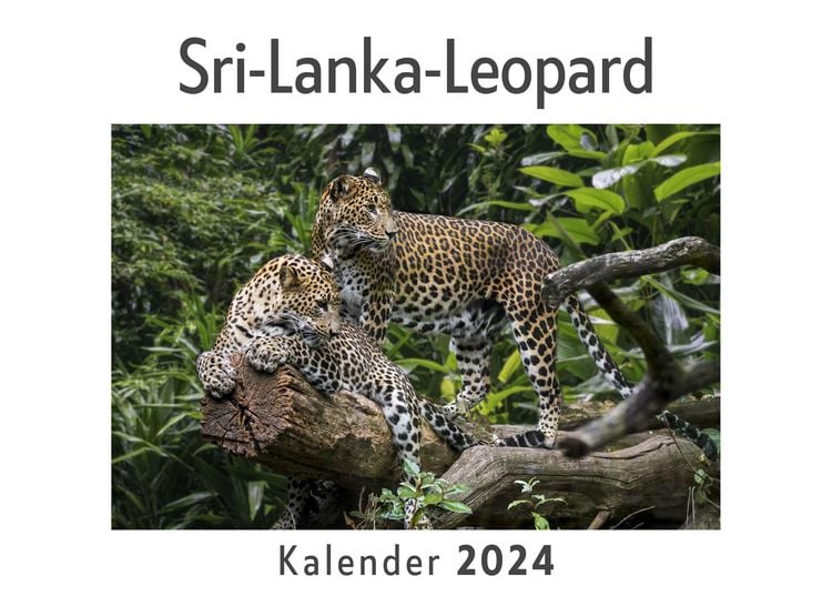 Produktbild: Sri-Lanka-Leopard (Wandkalender 2024, Kalender DIN A4 quer, Monatskalender im Querformat mit Kalendarium, Das perfekte Geschenk)