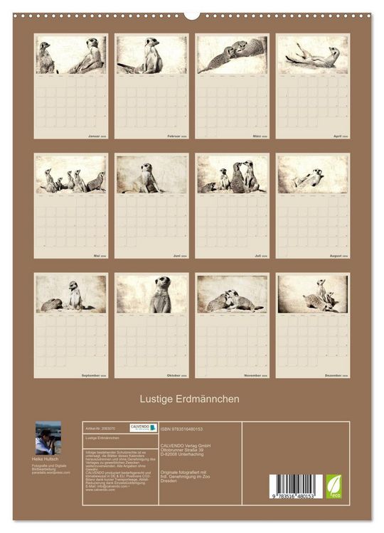 Produktbild: Lustige Erdm&auml;nnchen (hochwertiger Premium Wandkalender 2026 DIN A2 hoch), Kunstdruck in Hochglanz
