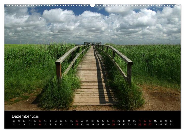 Produktbild: Amrum, Perle der Nordsee (Wandkalender 2026 DIN A2 quer), CALVENDO Monatskalender