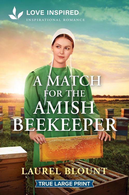 Produktbild: A Match for the Amish Beekeeper