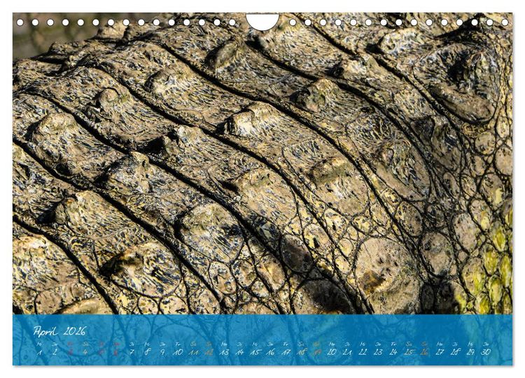 Produktbild: Natur abstrakt Farben und Strukturen (Wandkalender 2026 DIN A4 quer), CALVENDO Monatskalender