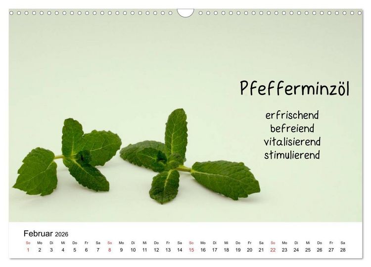 Produktbild: Aromatherapie - D&uuml;fte f&uuml;r die Seele (Wandkalender 2026 DIN A3 quer), CALVENDO Monatskalender
