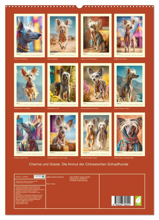 Produktbild: Charme und Grazie. Die Anmut der Chinesischen Schopfhunde (hochwertiger Premium Wandkalender 2027 DIN A2 hoch), Kunstdruck in Hochglanz